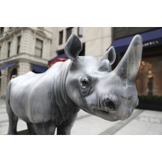 Forevermark Supports the Tusk Rhino Trail